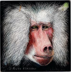 Gibbon Portrait - Ruth Renshaw
