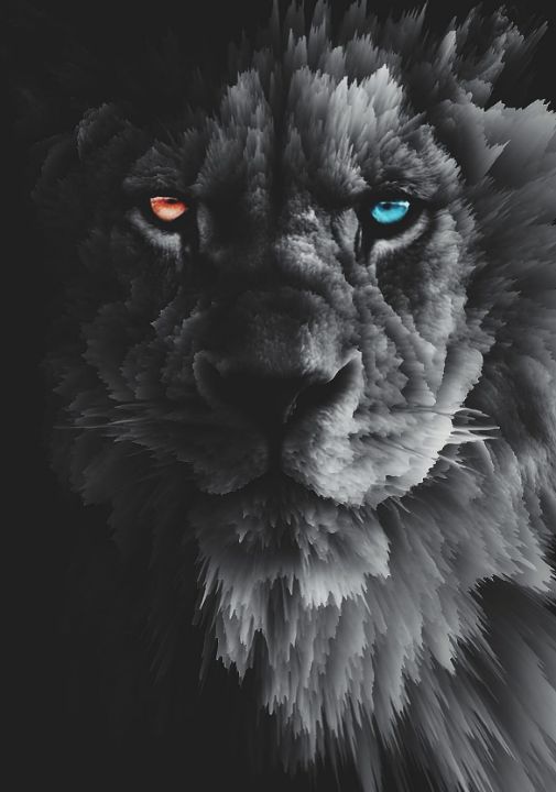 afro lion