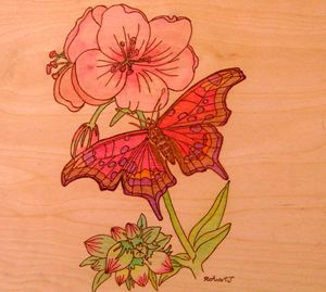 drunkin butterfly