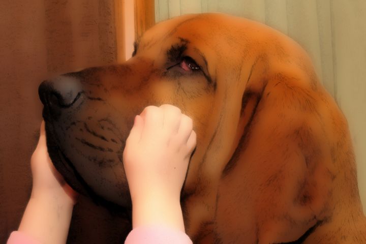 Loving Touch PhotoArt - PhotoArt By Darla - Photography, Animals, Birds, &  Fish, Dogs & Puppies, Bloodhound - ArtPal