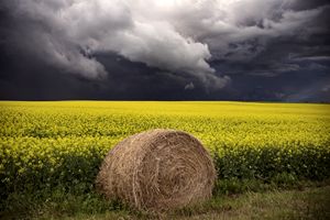 Storm Clouds Saskatchewan - Fine Art Photography