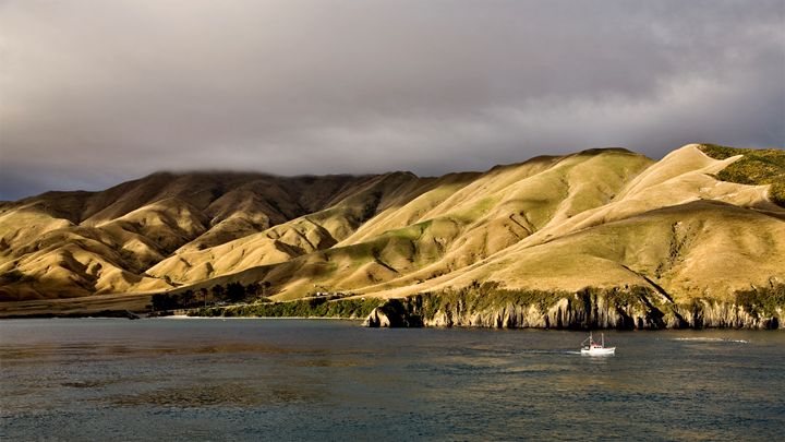 Ferry View Picton New Zealand - Fine Art Photography