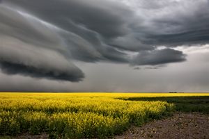 Prairie Storm Clouds - Fine Art Photography