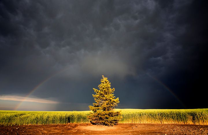 Storm Clouds Canada - Fine Art Photography