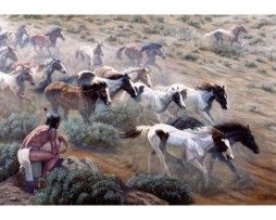 Wild Mustangs - gregory perillo