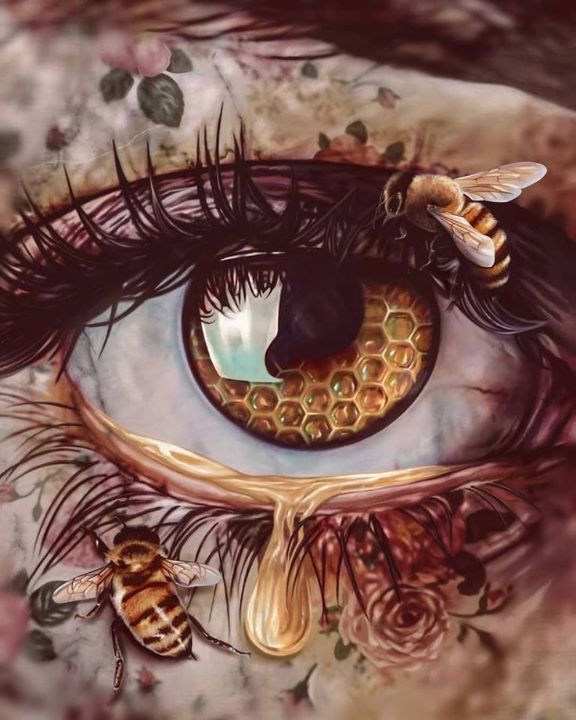 eye with bees drawing. - Lê Đăng Hải