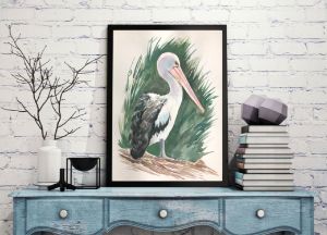 American White Pelican watercolor