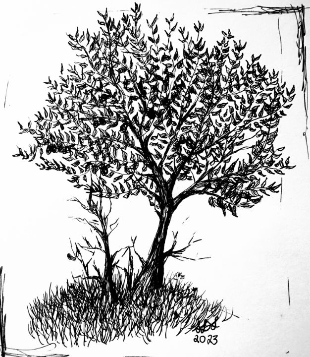 How to draw apple tree / LetsDrawIt