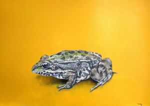 Frog Sticker - Hannah Cha Art - Digital Art, Animals, Birds, & Fish,  Reptiles & Amphibians, Frogs & Toads - ArtPal