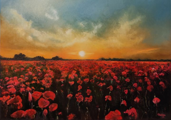 Poppy field at sunset - tomascastano