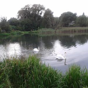 Lake