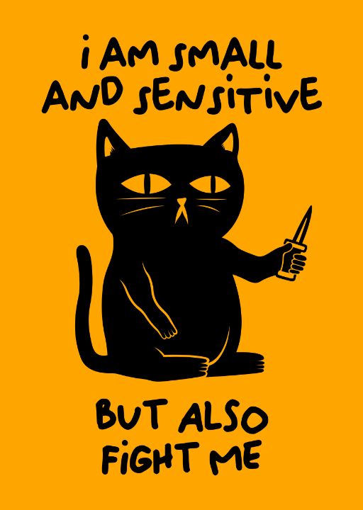 Spilla Gatto Divertente Con Frase "I Am Small And Sensitive But Also Fight Me, I Do What I Want", Smalto, Accessorio Ironico