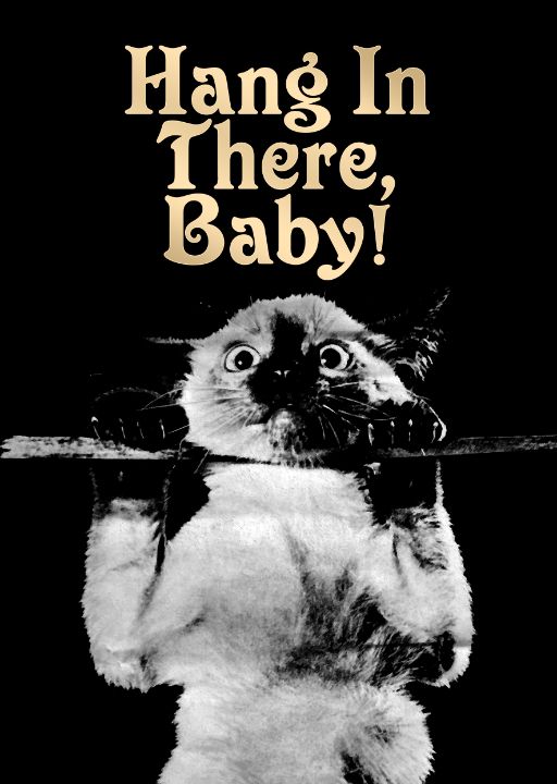 Hang in there baby cat vintage art cool posters for all paintings
