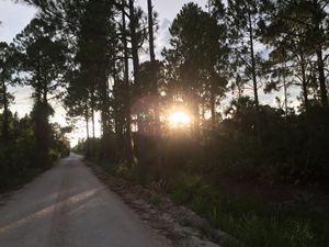 Setting sun by limerock road