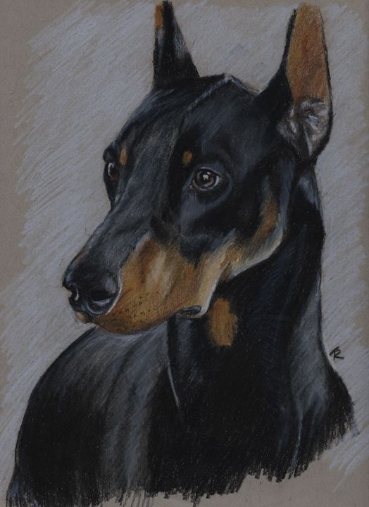 dobermans in pencil sketch