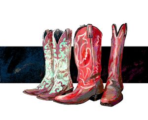Dem Boots - Our Vanishing West