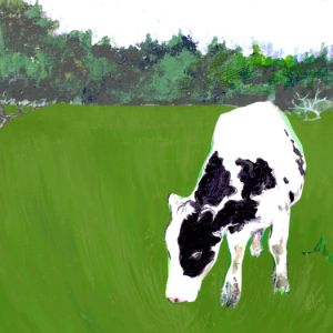 Moo - Our Vanishing West
