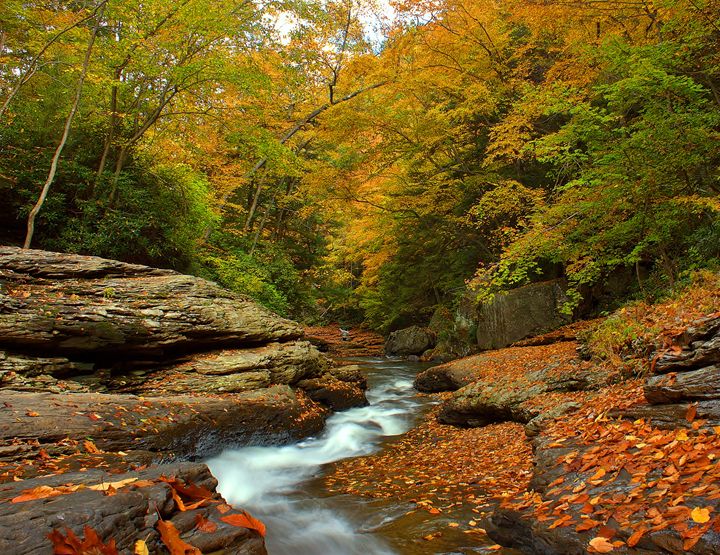 Flowing Over the edge Michael Hardy Photography Photography