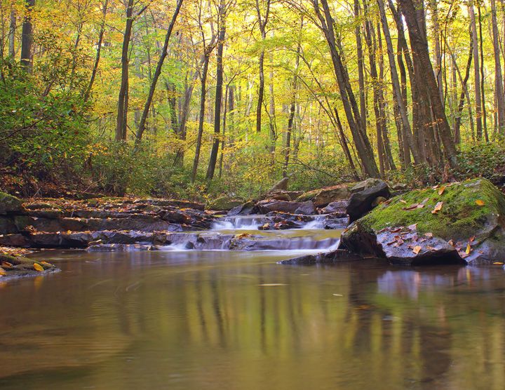 Morning Light II Michael Hardy Photography Photography, Landscapes