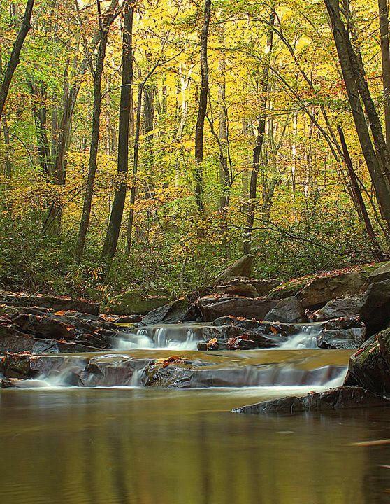 Morning Light Michael Hardy Photography Photography, Landscapes