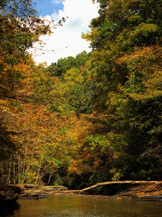 Michael Hardy Photography Photography, Digital Art & AI