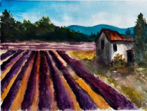 Lavender Fields - Rob Hubert Watercolors