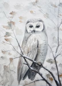 Snowy Owl - Rob Hubert Watercolors