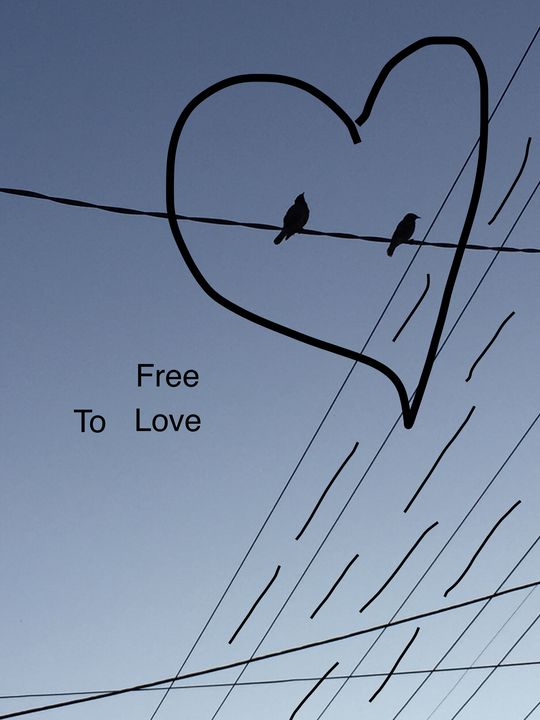 Free to love - Dare to be different