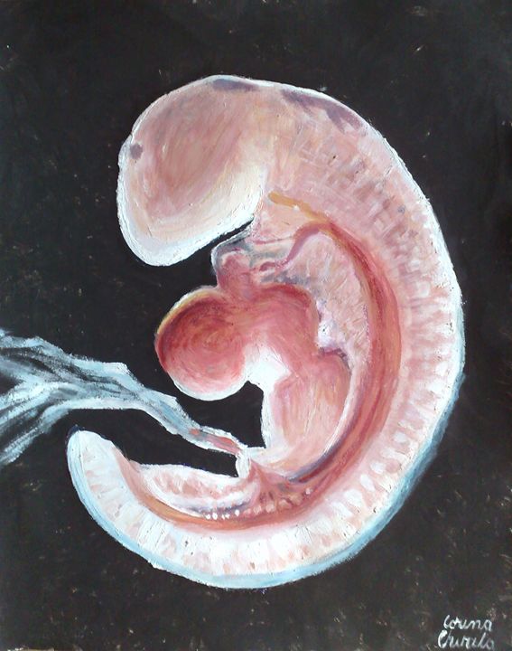 Embryo - CORinAZONe