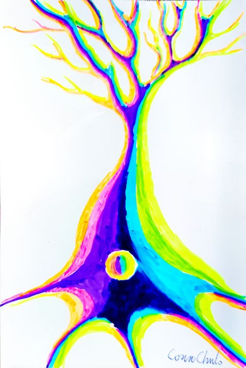 colorful pyramidal neuron - CORinAZONe