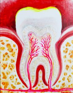 tooth structure painting