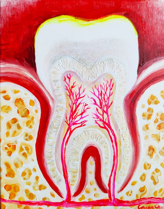 tooth structure painting - CORinAZONe
