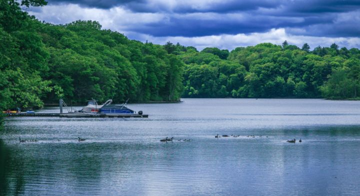 Springtime Bartons Cove Palumbo Photography Photography Landscapes And Nature Rivers