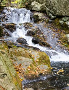 Rushing Stream with Red Rocks - Brenda's Art Gallery - Paintings