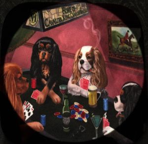Dogs Playing Poker - Palumbo Photography