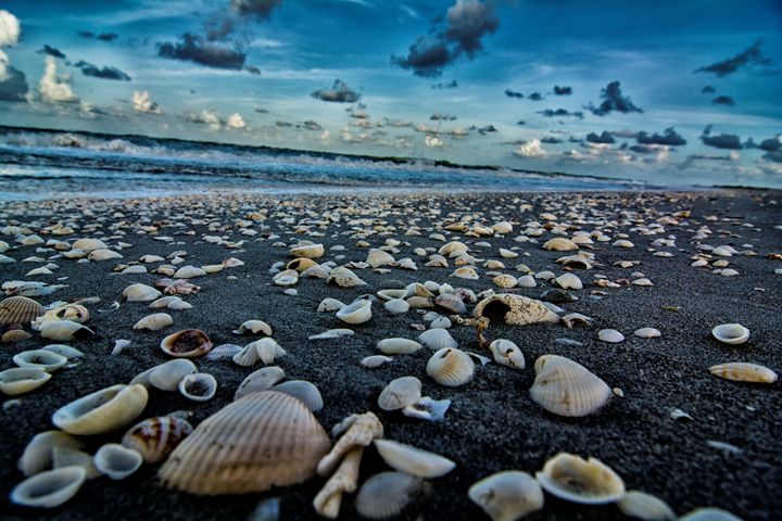 Shell Beach - Kcable - Photography, Landscapes & Nature, Beach & Ocean ...