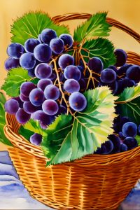 Abundance in a Basket - Life & Things