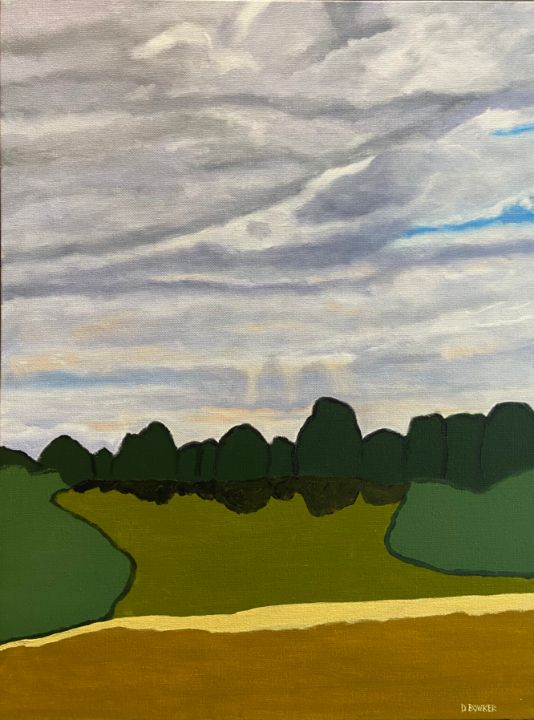 Cloudy Dawn at John Taylor Park - David Bowker