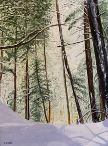 Snow on Pines - David Bowker