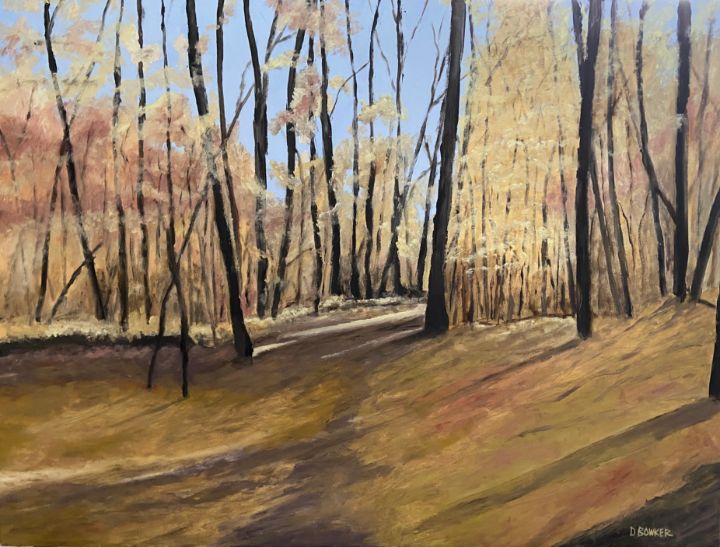 Autumn Woods - David Bowker