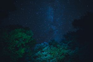 night stars