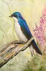 Blue Jay and Cardinal - RD Starmer - Paintings & Prints, Animals