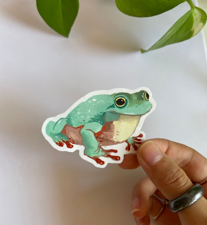 Frog Sticker - Hannah Cha Art