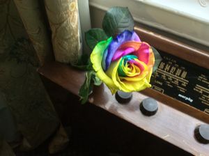 The old wireless with rose. - Glennis Cane