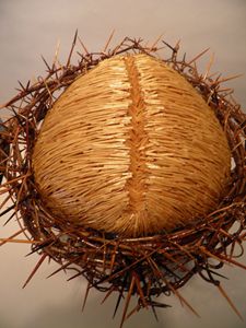 "The Son"