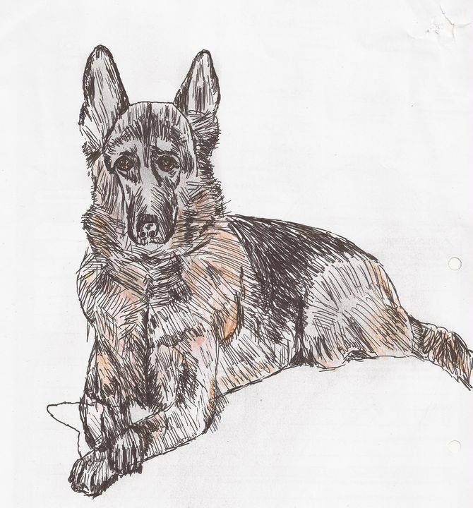 German shepherd  dog painting - Tony Antoniou