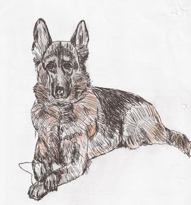 german shepherd pen