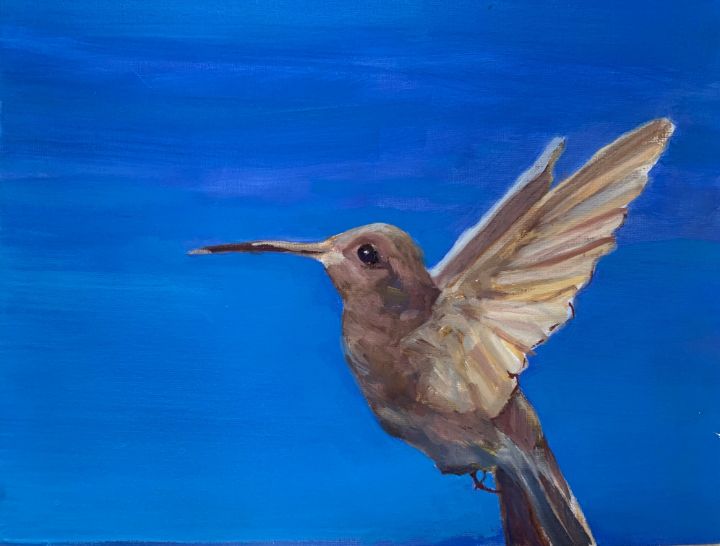 Hummingbird - Christy Ross
