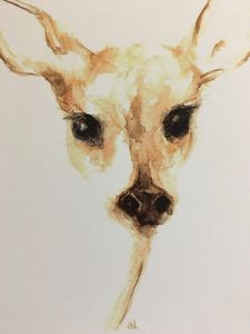 Doe Deer