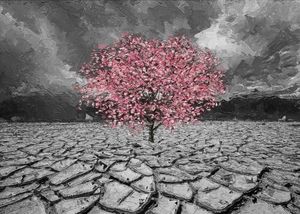 Desert Cherry Blossom